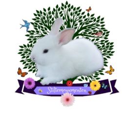 Stichting_Stiltemonumenten