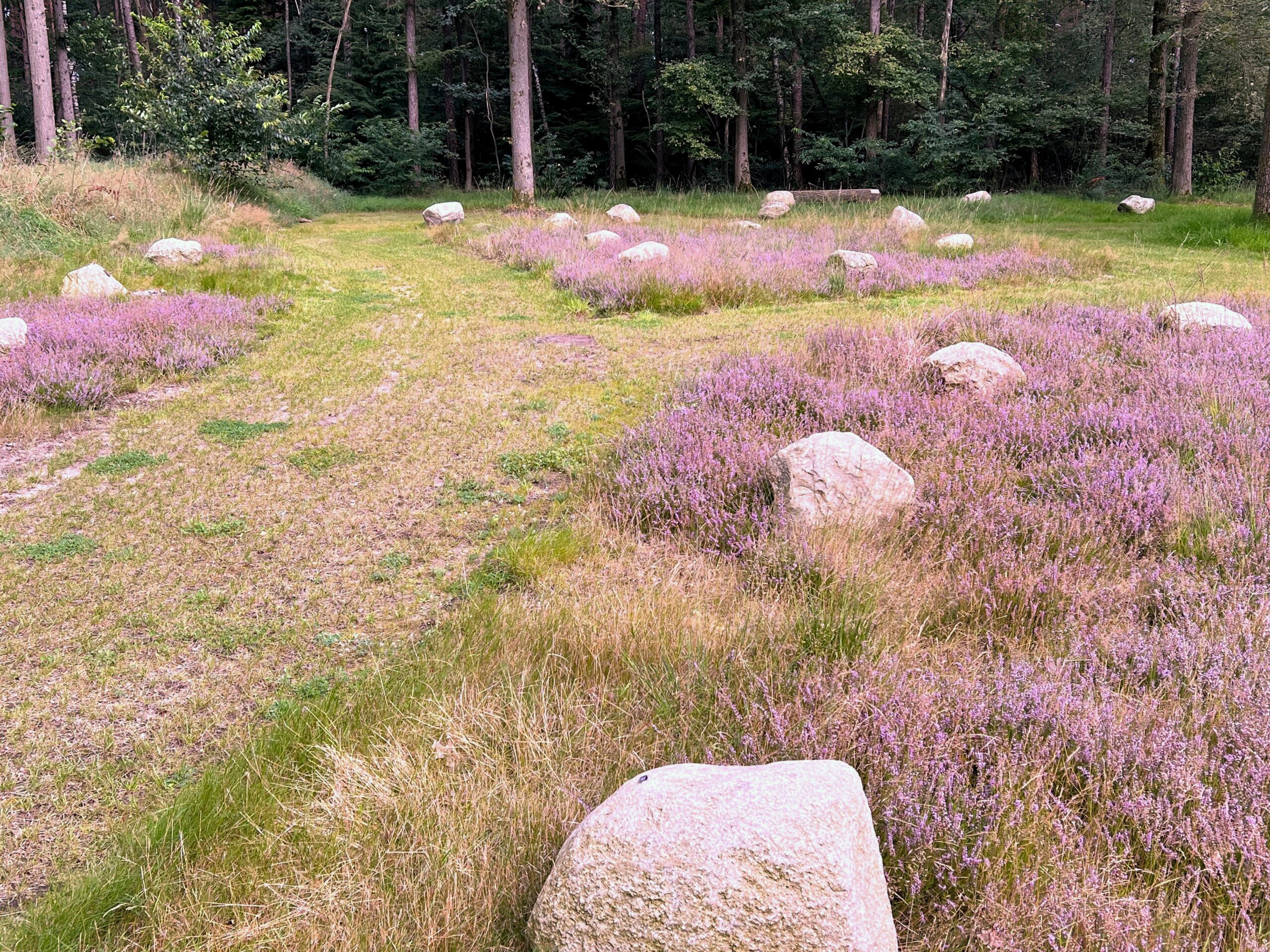 Foto - Begraaf- en gedenkpark Het Waarveld, Haaksbergen
